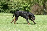 BEAUCERON 831